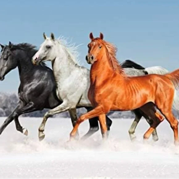 Photography background - Picture 3 of 4